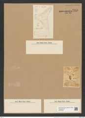 Triceratium nitescens Grev. (de-Toni-Nr.: Genus 140, Species 3968) Zeichnungen Sammlung Grunow Nr. 7444 (NHMW-BOT-W0376532)